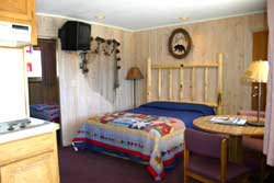 Sampe bedroom with light wood paneling